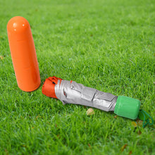 Vegetable shaped Folding Umbrella, Cute Design (1 Pc)